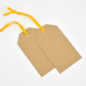 Luggage Kraft Gift Tags Orange (50)