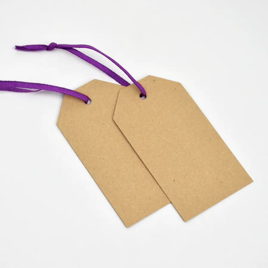 Luggage Kraft Gift Tags Purple (50)