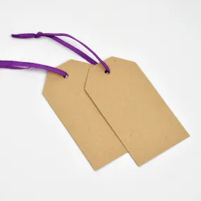 Luggage Kraft Gift Tags Purple (50)